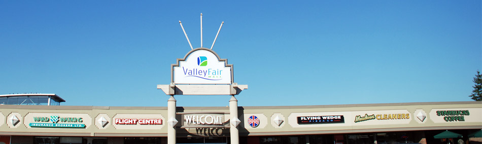 valleyfair mall